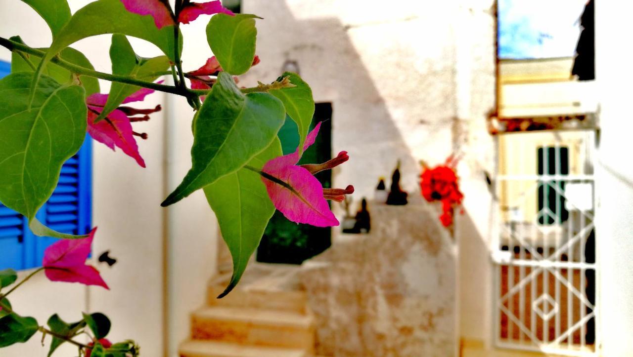 Holiday home Casa Chicca Salentro *